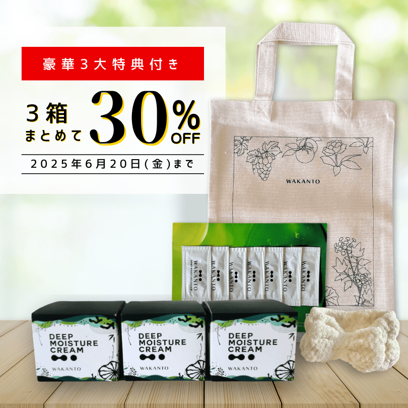 豪華3大特典付き 3箱まとめて30%OFF