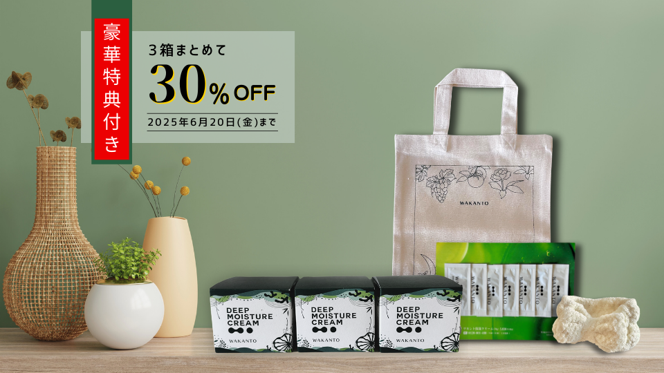 期間限定・3個セットご購入で〈豪華3大特典〉プレゼント